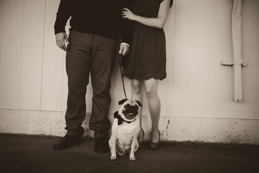 engagement photography peterborough ontario, engagement photography lindsay ontario, surprise wedding, ash nayler photography