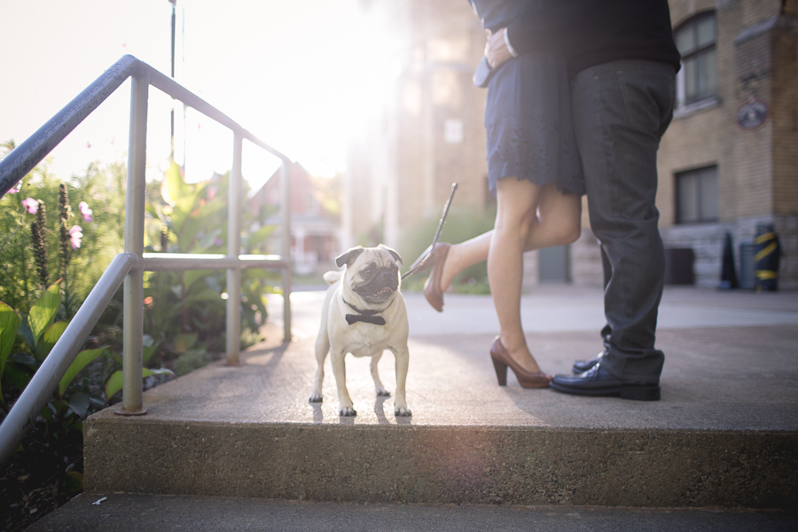 engagement photography peterborough ontario, engagement photography lindsay ontario, surprise wedding, ash nayler photography