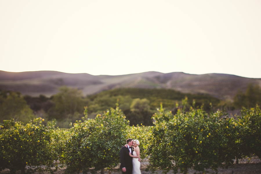 california wedding photography, goleta wedding photographer, sanata barbara wedding photographer, destination wedding photographer, destination wedding photography, ash nayler photography, ash nayler