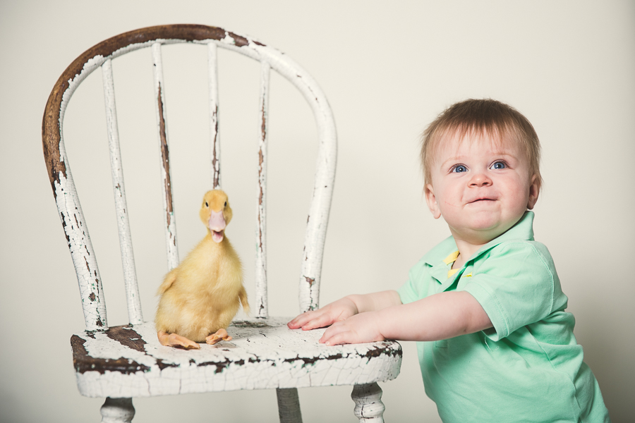 easter mini sessions, easter portraits downtown peterborough, portrait photographer downtown peterborough, peterborough photography, photography studio downtown peterborough