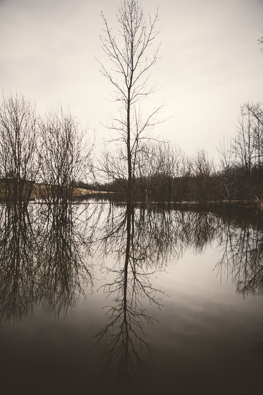 peterborough, spring 2014 flood peterborough ontario, peterborough photographer