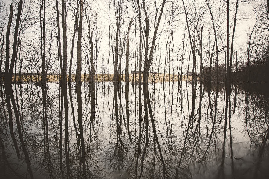 peterborough, spring 2014 flood peterborough ontario, peterborough photographer