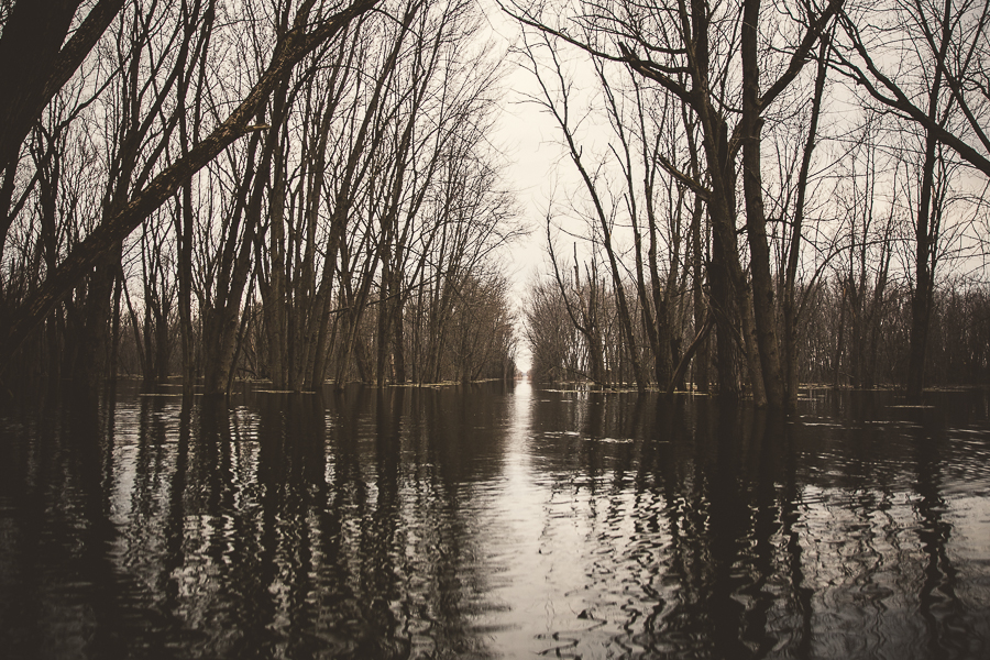 peterborough, spring 2014 flood peterborough ontario, peterborough photographer