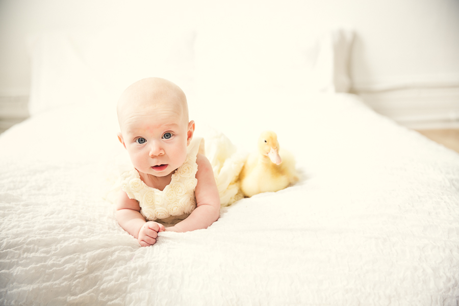 easter mini sessions, easter portraits downtown peterborough, portrait photographer downtown peterborough, peterborough photography, photography studio downtown peterborough