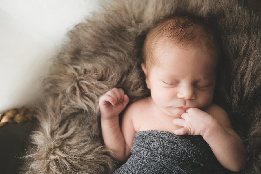 peterborough newborn photographer, lifestyle photography, portrait photographer peterborough, newborn photographer, ontario wedding photographer