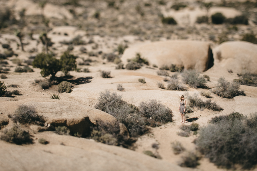 joshua tree photographer