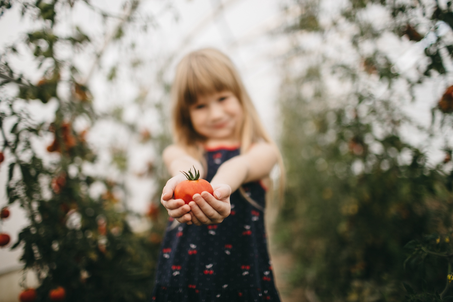 organic vegetable peterborough