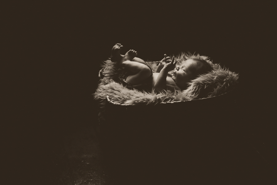 newborn photography peterborough ontario