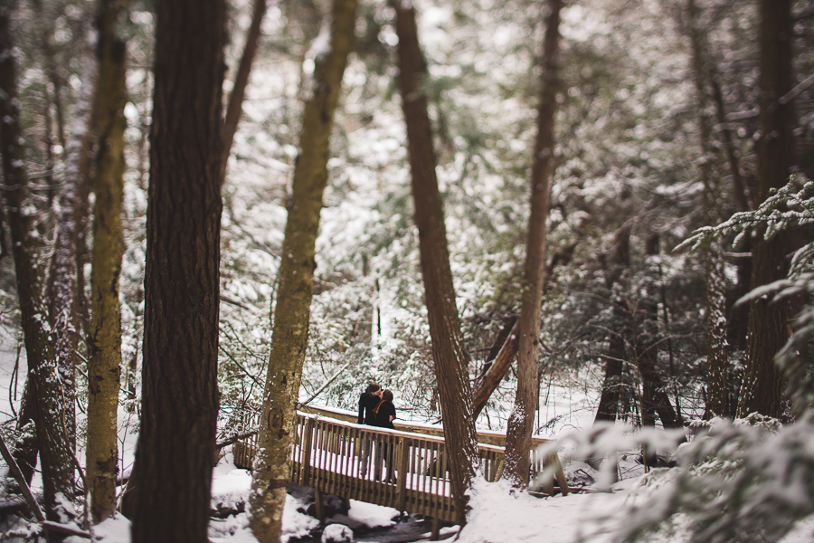 winter engagement photographer ontario