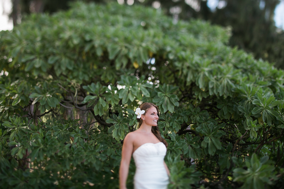 waimanalo wedding photographer