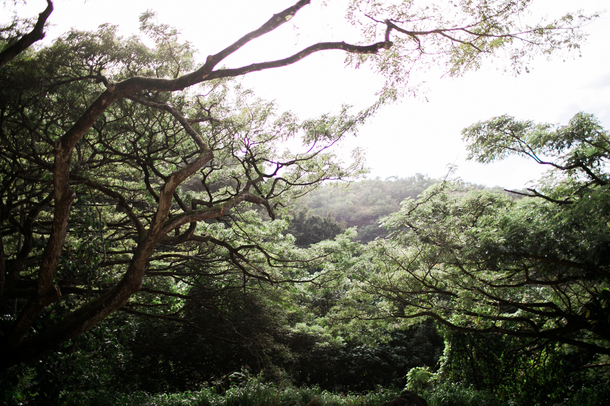 oahu wedding photographer