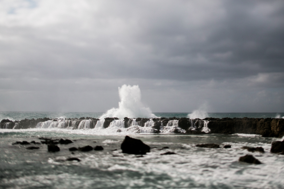 north shore waves hawaii