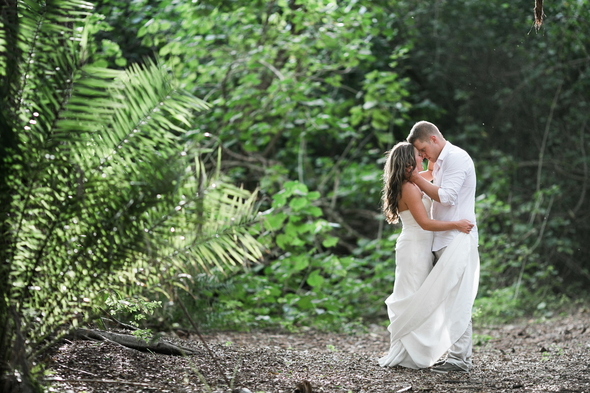 banyan tree cove photography