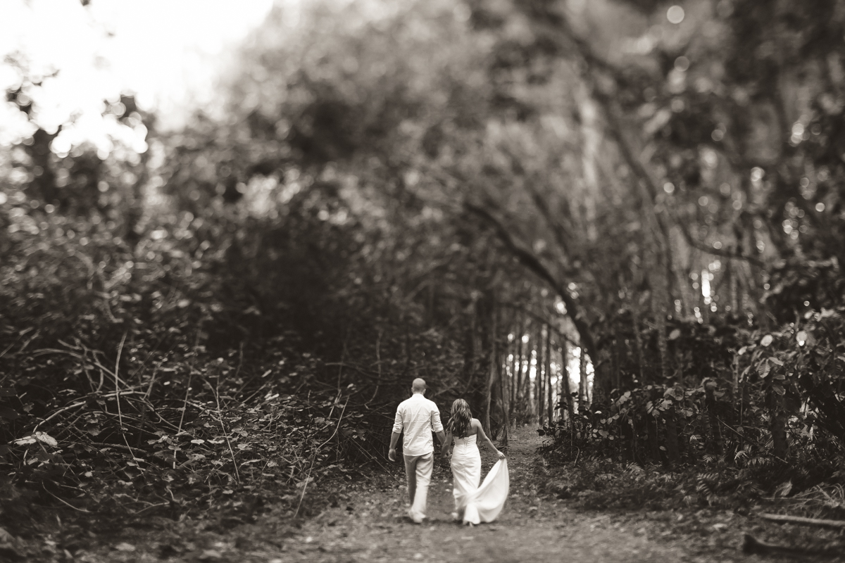 banyan tree cove black and white