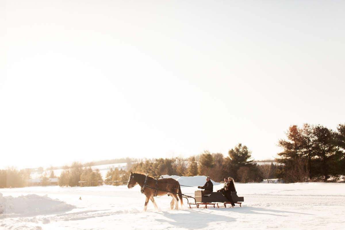 horse ride winter wedding