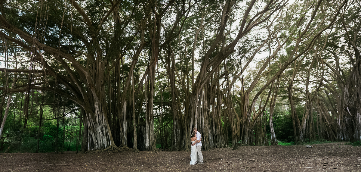 hawaii wedding photography sunset panoramic