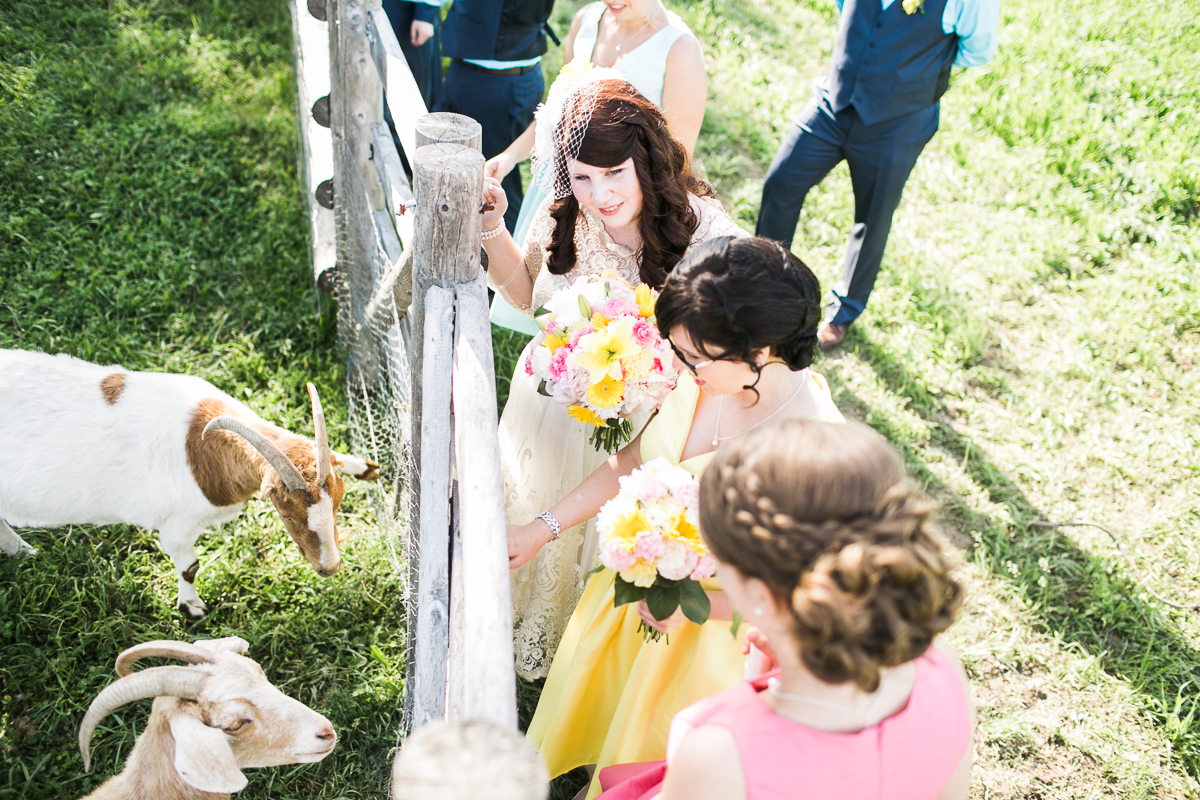 ontario wedding photographer