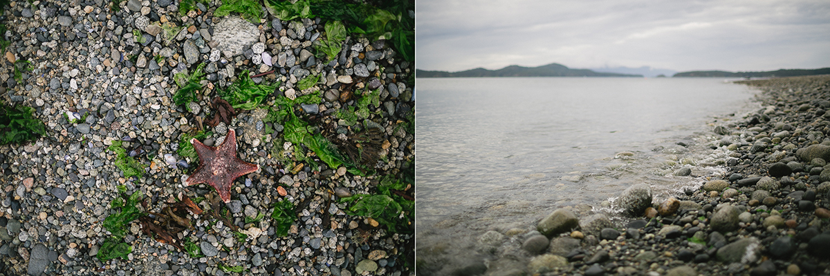 sunshinecoastelopement-beach