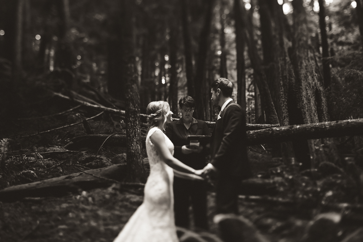 sunshine coast elopement-ceremony in woods