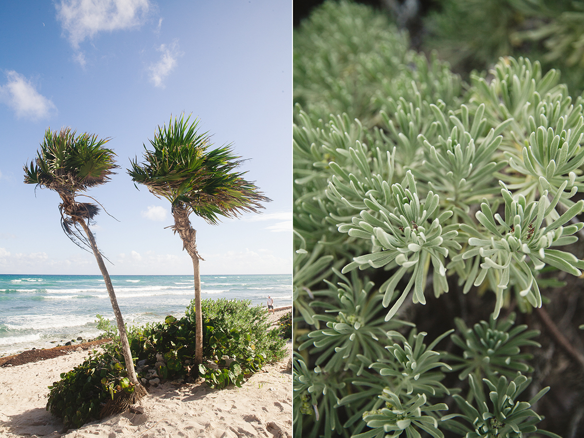 mexico destination wedding photographer