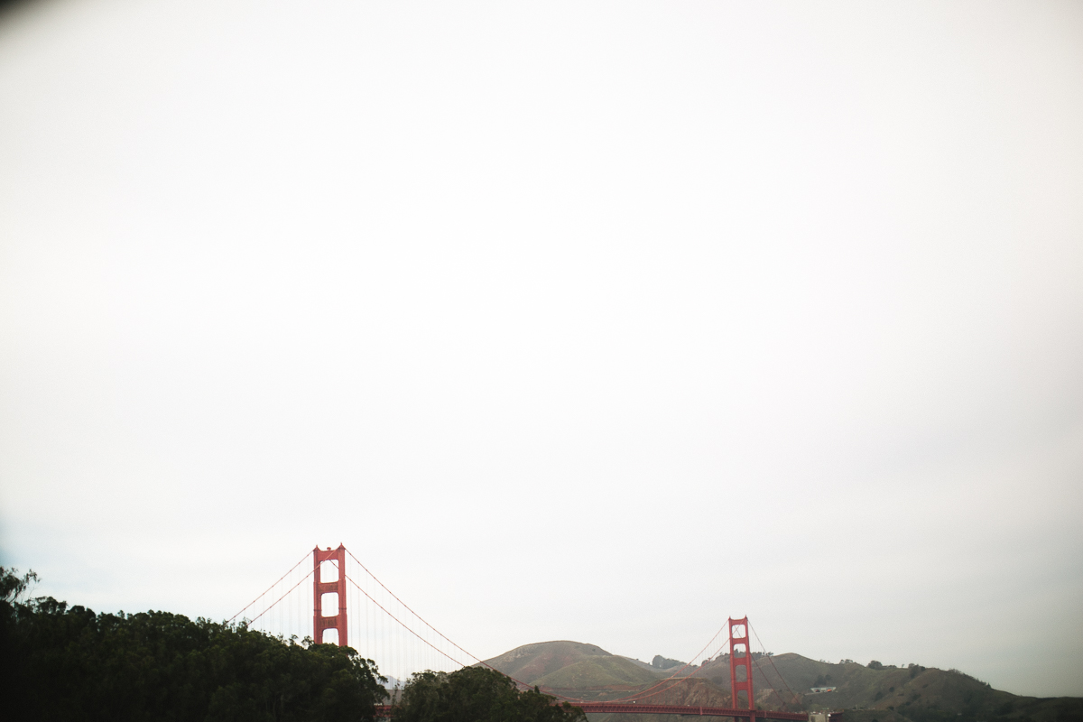 california family portrait photographer