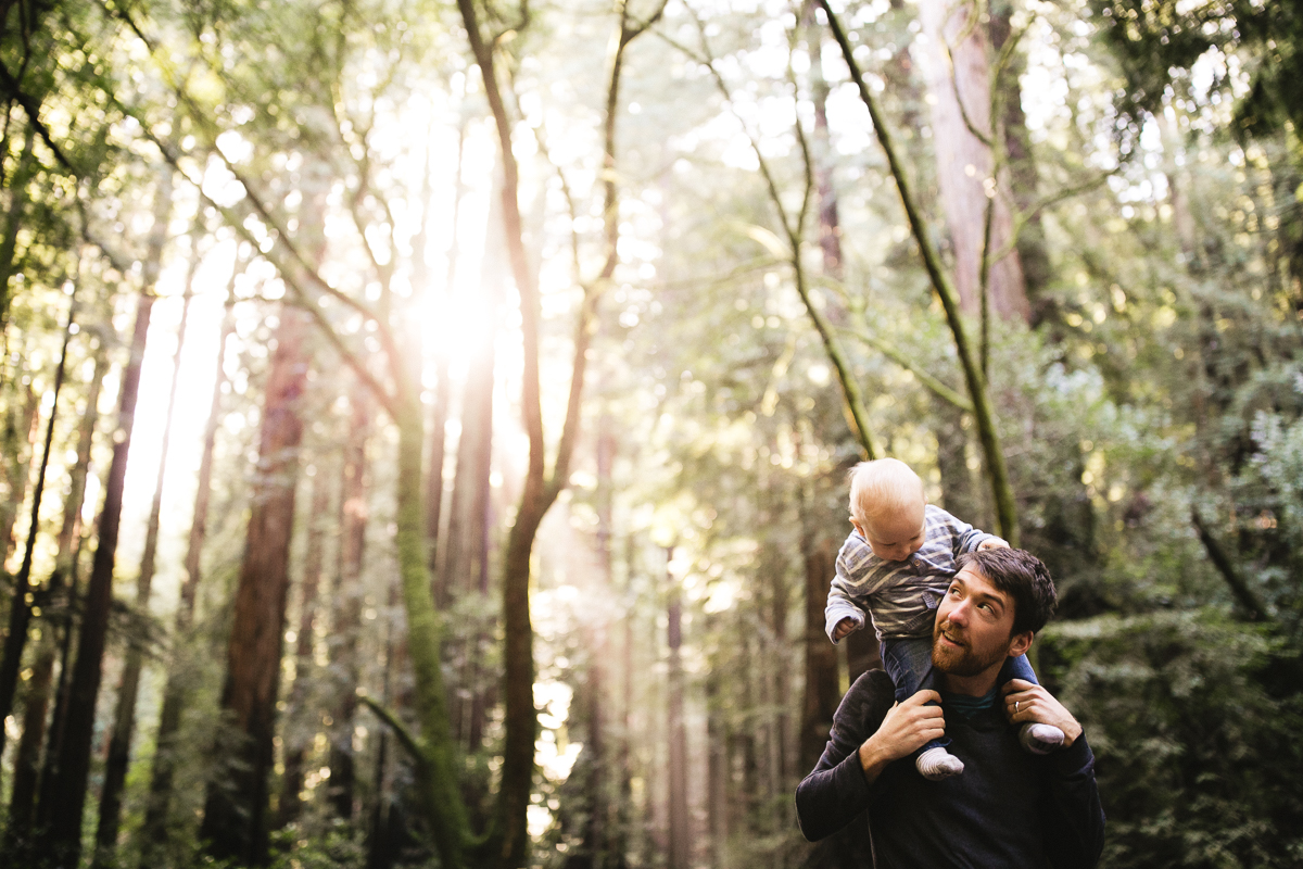 red wood family photographer