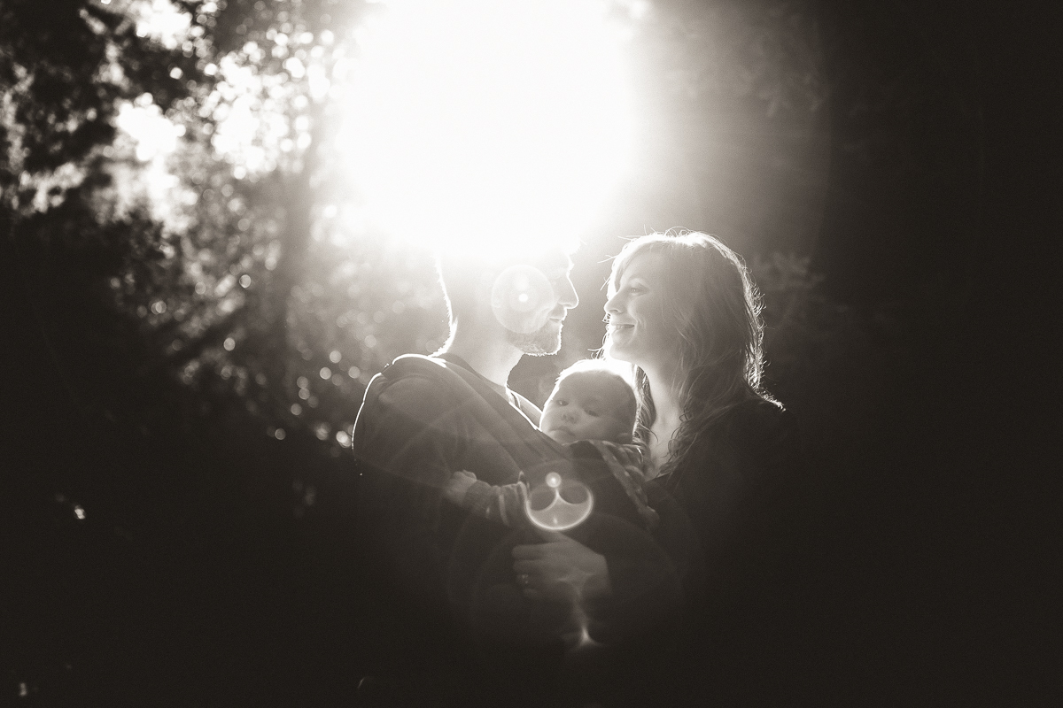 muir woods portrait photographer