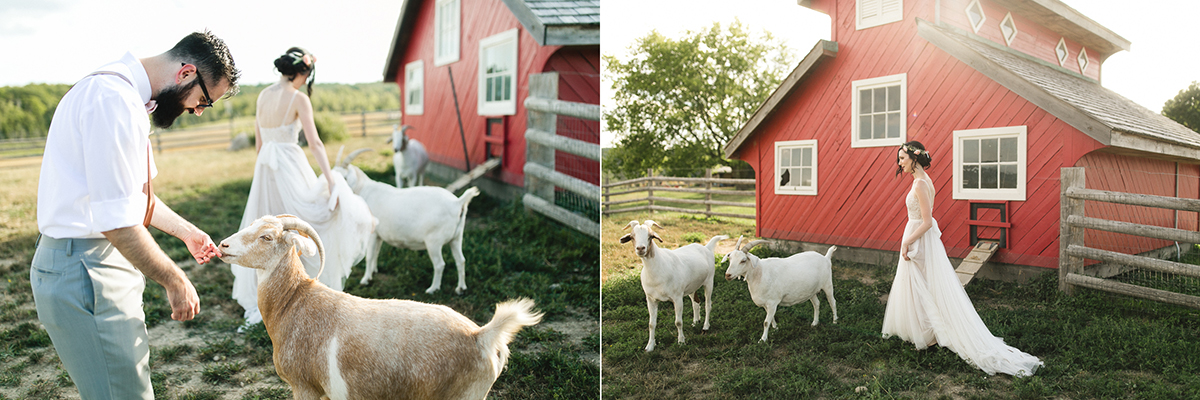 south pond farm wedding party