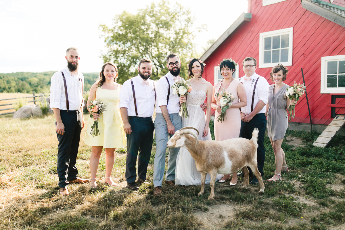 south pond farm goats