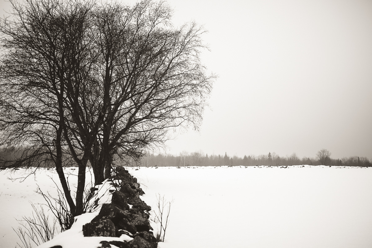 winter wedding