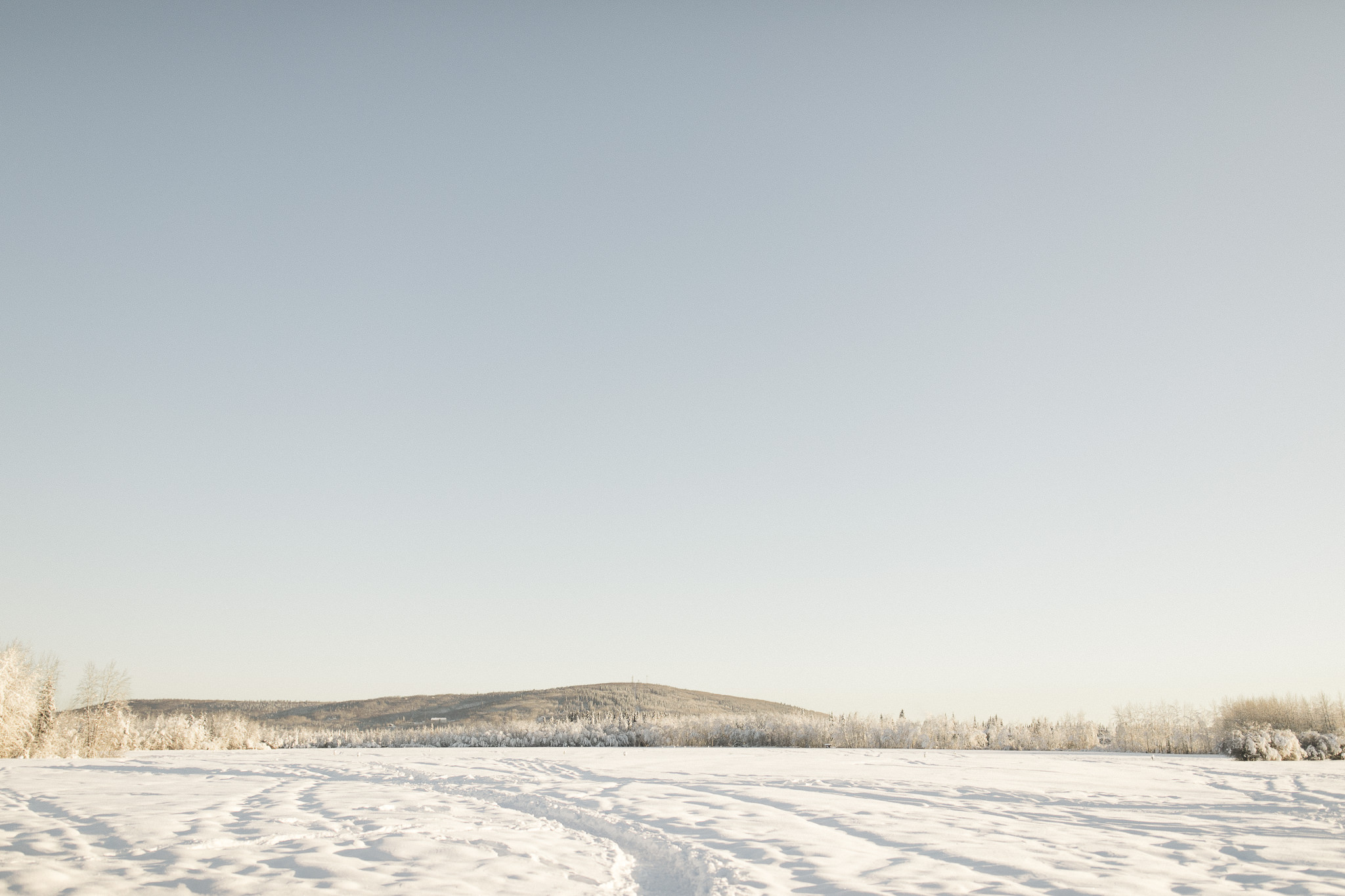 Taste of Alaska Lodge winter wedding