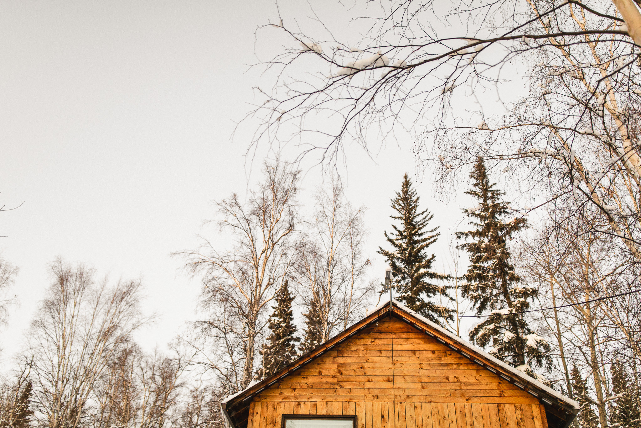 alaska wedding photography