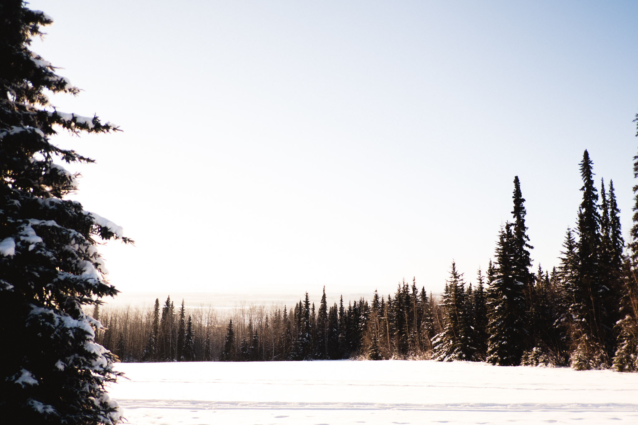 fairbanks alaska wedding