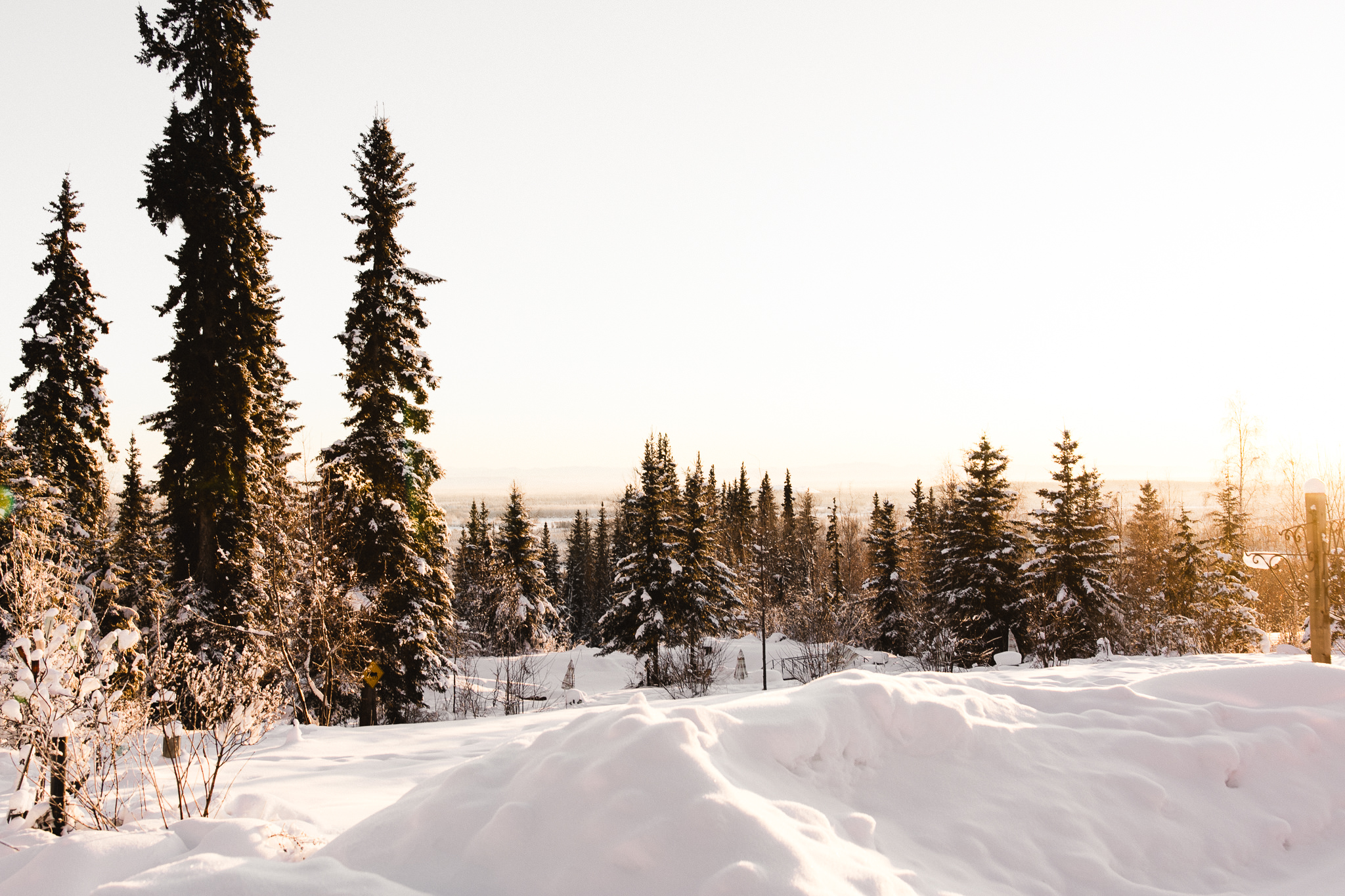 fairbanks alaska wedding photography