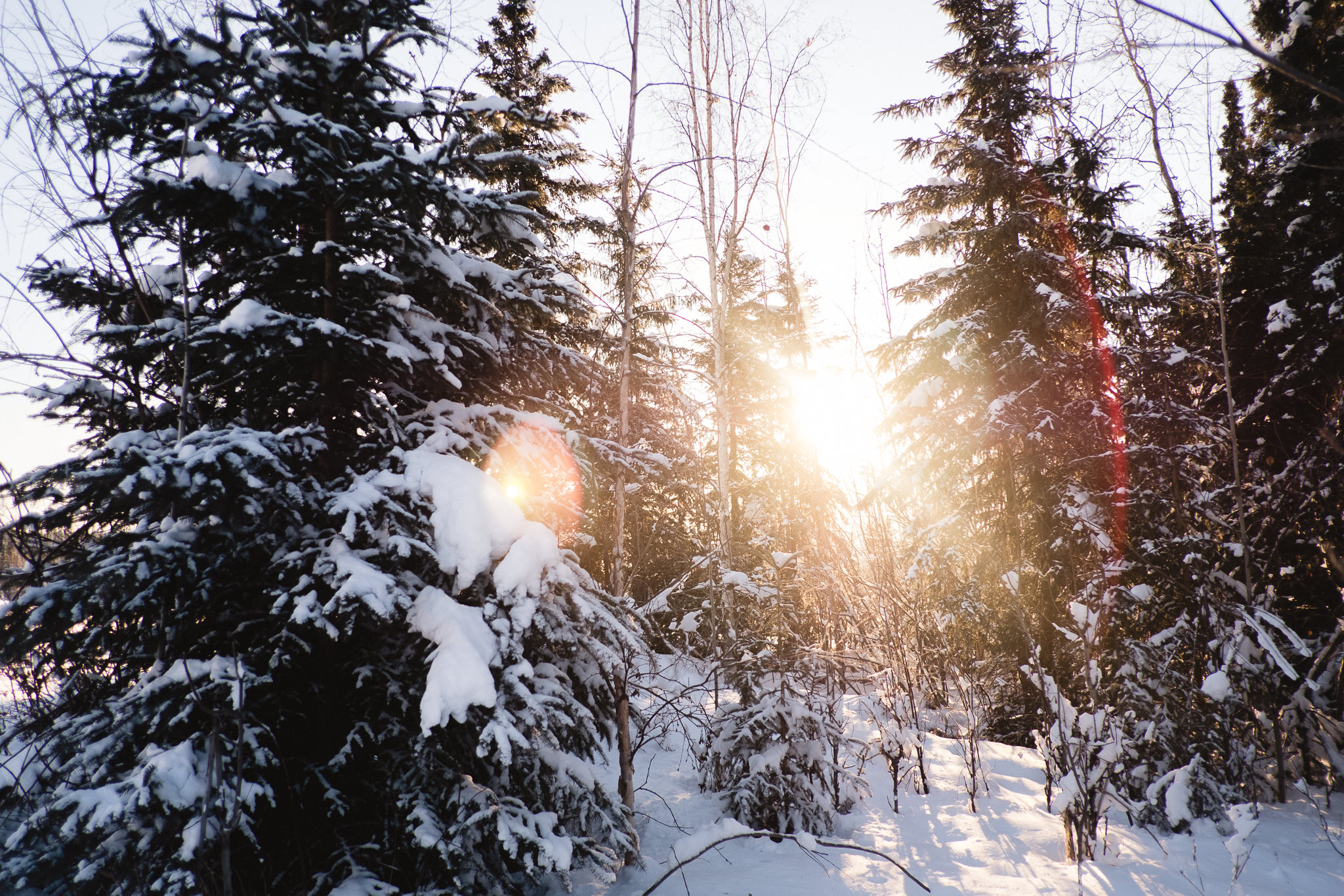 fairbanks alaska wedding