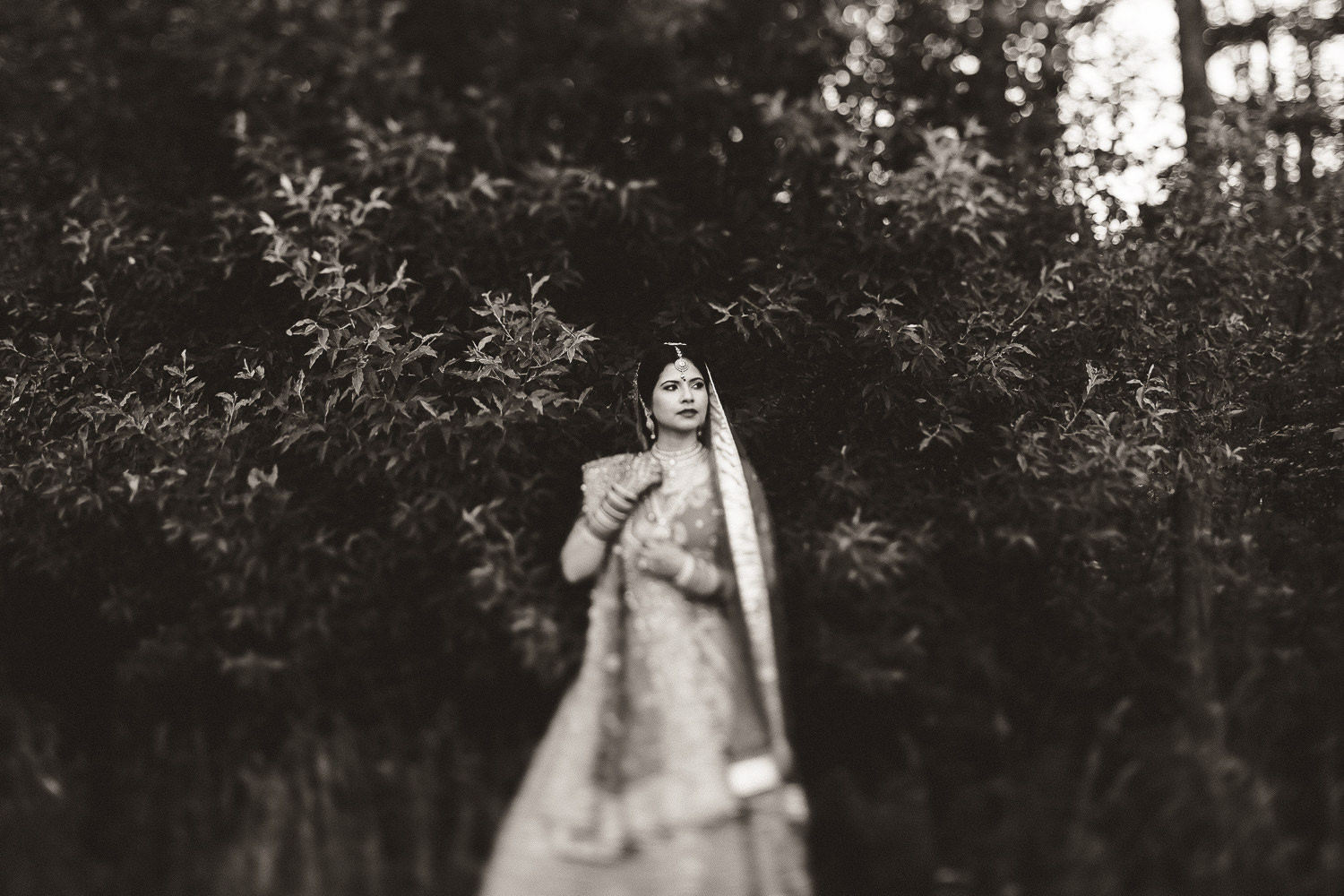 indian wedding photographer toronto ontario